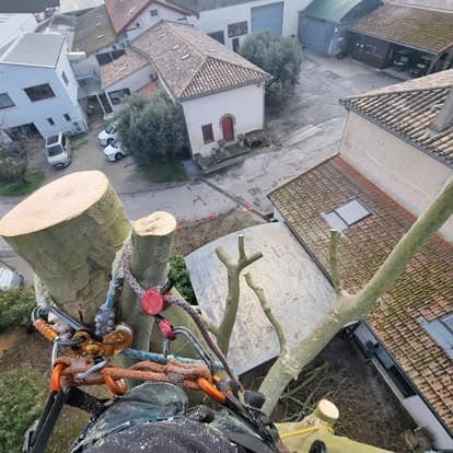Vue depuis le haut d'un arbre en cours de démontage : le tronc sectionné, les cordes de rétention et les toitures du village en contrebas