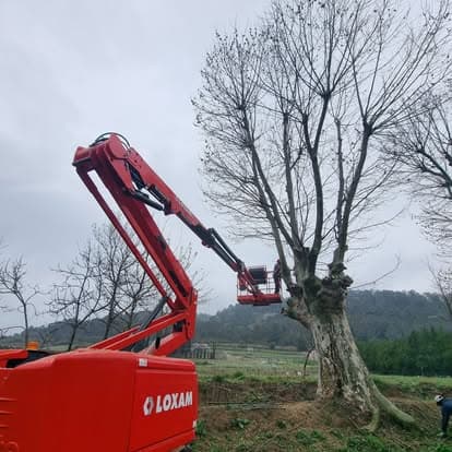 Nacelle articulée déployée au pied d'un vieux platane têtard, en bordure de champ